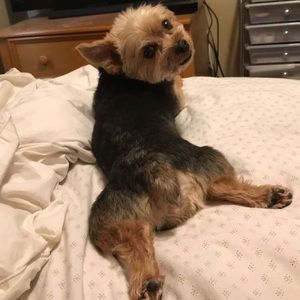 Meet your Posher, Karen